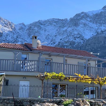 Casa Basgiu, Chambres Avec Balcon Et Table D'Hotes Zilia Екстер'єр фото